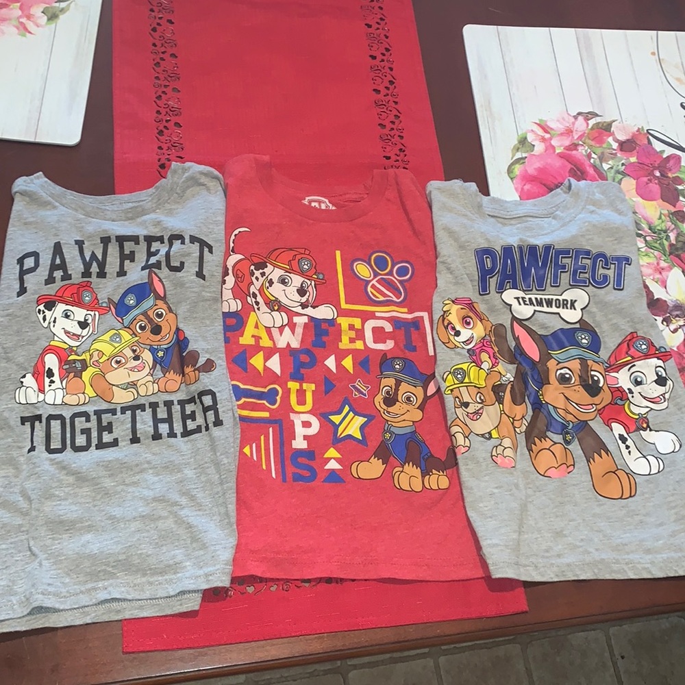 3 Paw Patrol Short Sleeve T-Shirts 2 Grey & 1 Red 3T & 4T EUC